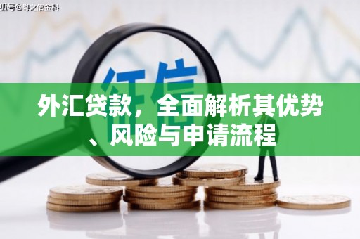 深圳外汇贷款，全面解析其优势、风险与申请流程