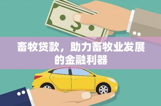 深圳畜牧贷款，助力畜牧业发展的金融利器