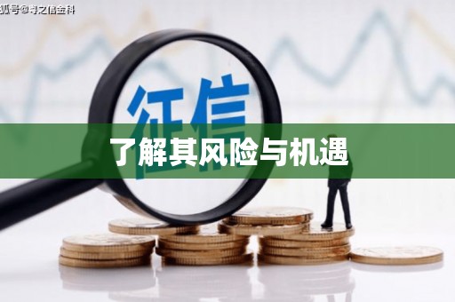 深圳了解其风险与机遇