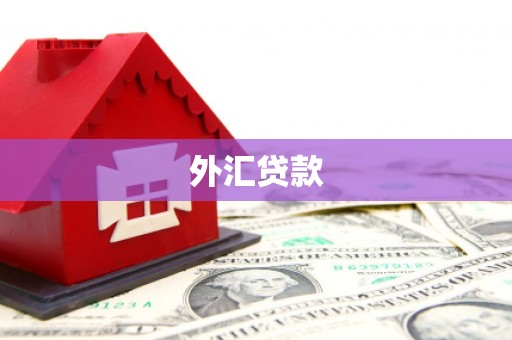 深圳外汇贷款