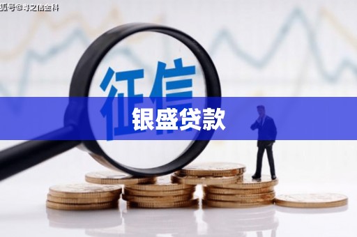 深圳银盛贷款
