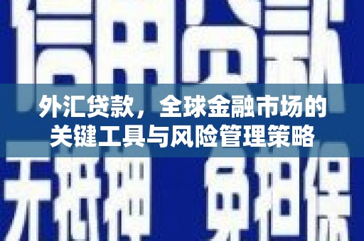 深圳外汇贷款，全球金融市场的关键工具与风险管理策略