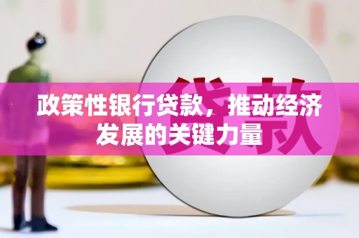 深圳政策性银行贷款，推动经济发展的关键力量