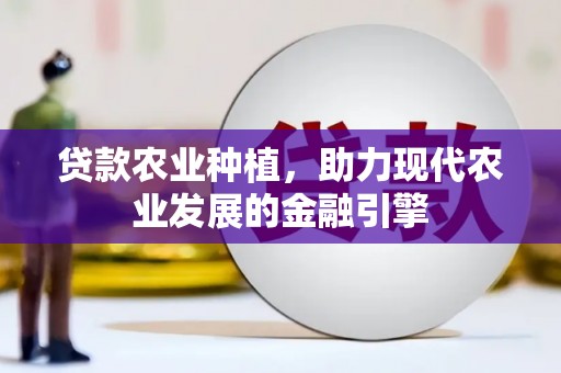 深圳贷款农业种植，助力现代农业发展的金融引擎