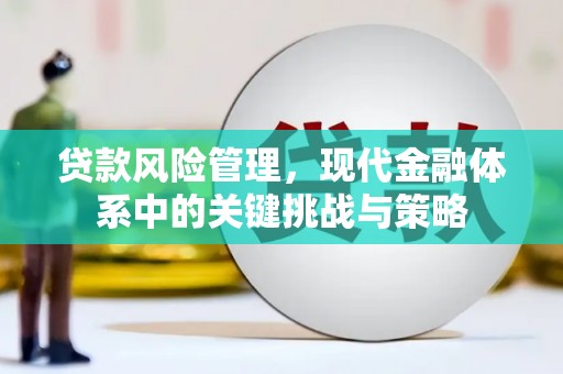 深圳贷款风险管理，现代金融体系中的关键挑战与策略