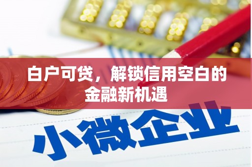 深圳白户可贷，解锁信用空白的金融新机遇