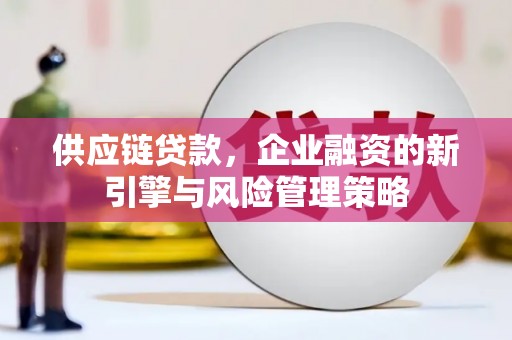 深圳供应链贷款，企业融资的新引擎与风险管理策略