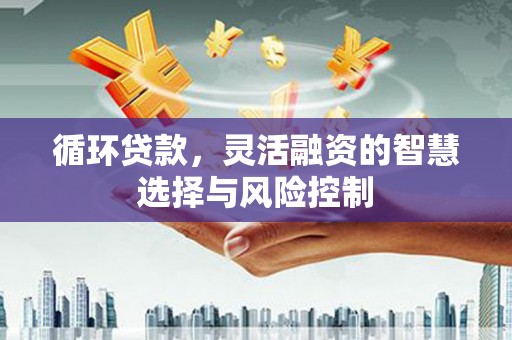 深圳循环贷款，灵活融资的智慧选择与风险控制