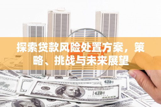 深圳探索贷款风险处置方案，策略、挑战与未来展望