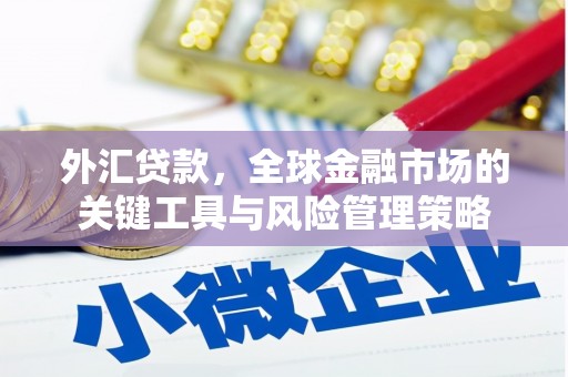 深圳外汇贷款，全球金融市场的关键工具与风险管理策略