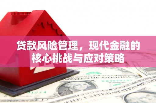 深圳贷款风险管理，现代金融的核心挑战与应对策略