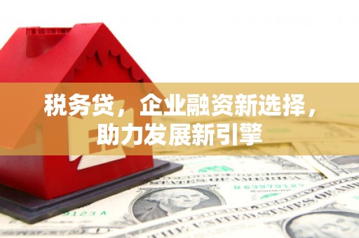 深圳税务贷，企业融资新选择，助力发展新引擎