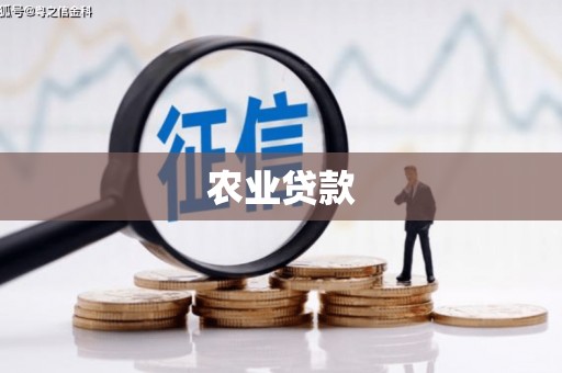 深圳农业贷款