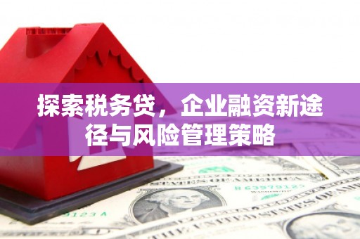深圳探索税务贷，企业融资新途径与风险管理策略