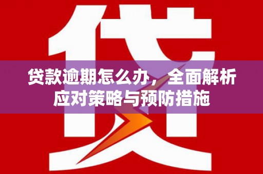 深圳贷款逾期怎么办，全面解析应对策略与预防措施
