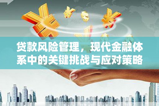 深圳贷款风险管理，现代金融体系中的关键挑战与应对策略