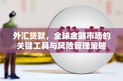深圳外汇贷款，全球金融市场的关键工具与风险管理策略
