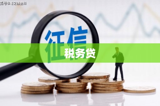 深圳税务贷