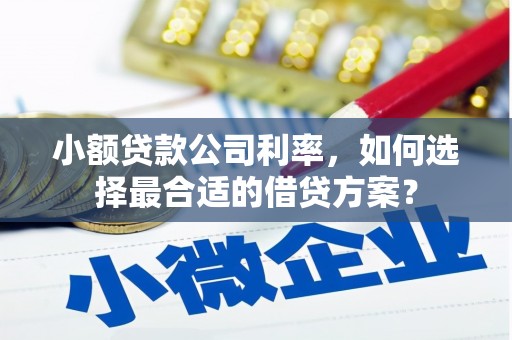 深圳小额贷款公司利率，如何选择最合适的借贷方案？