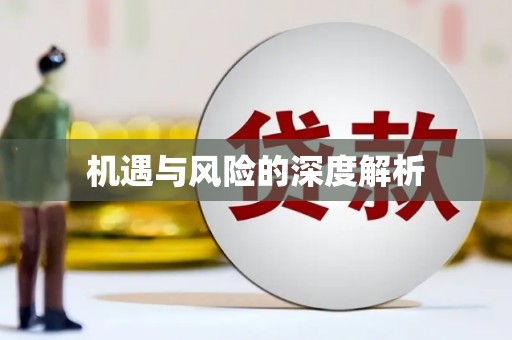 深圳机遇与风险的深度解析