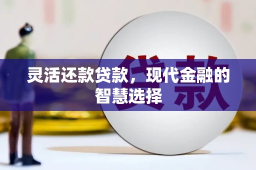 深圳灵活还款贷款，现代金融的智慧选择