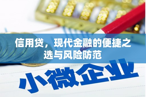 深圳信用贷，现代金融的便捷之选与风险防范