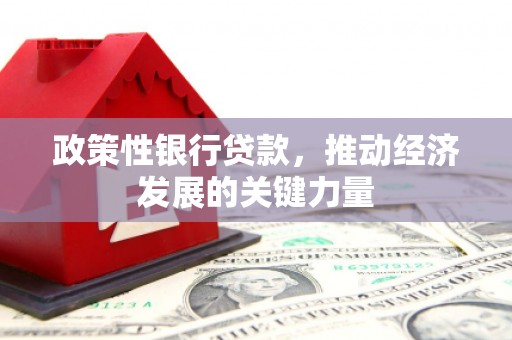 深圳政策性银行贷款，推动经济发展的关键力量