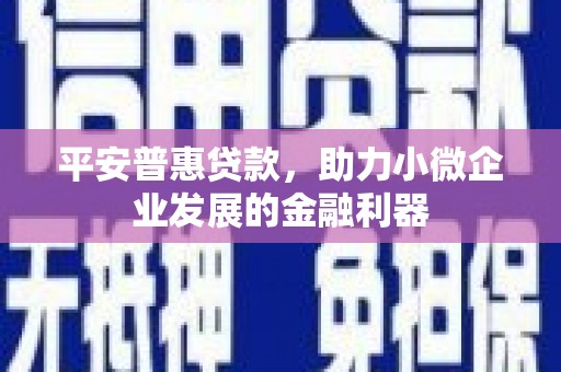 深圳平安普惠贷款，助力小微企业发展的金融利器
