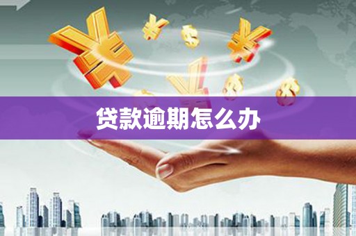 深圳贷款逾期怎么办