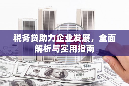 深圳税务贷助力企业发展，全面解析与实用指南