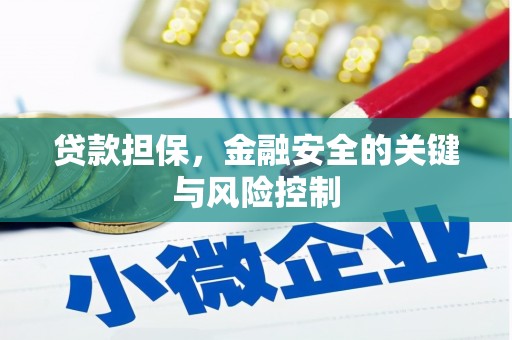 深圳贷款担保，金融安全的关键与风险控制