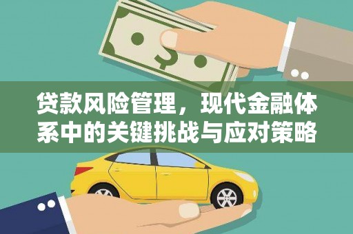 深圳贷款风险管理，现代金融体系中的关键挑战与应对策略