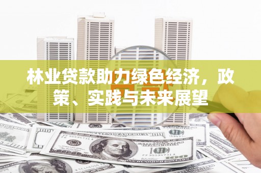 深圳林业贷款助力绿色经济，政策、实践与未来展望