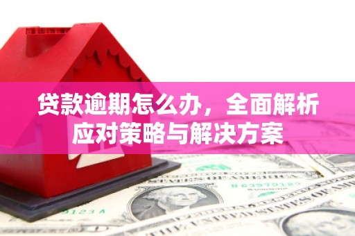 深圳贷款逾期怎么办，全面解析应对策略与解决方案